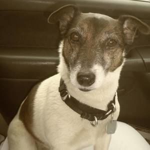 Meet your Posher, Laura buck